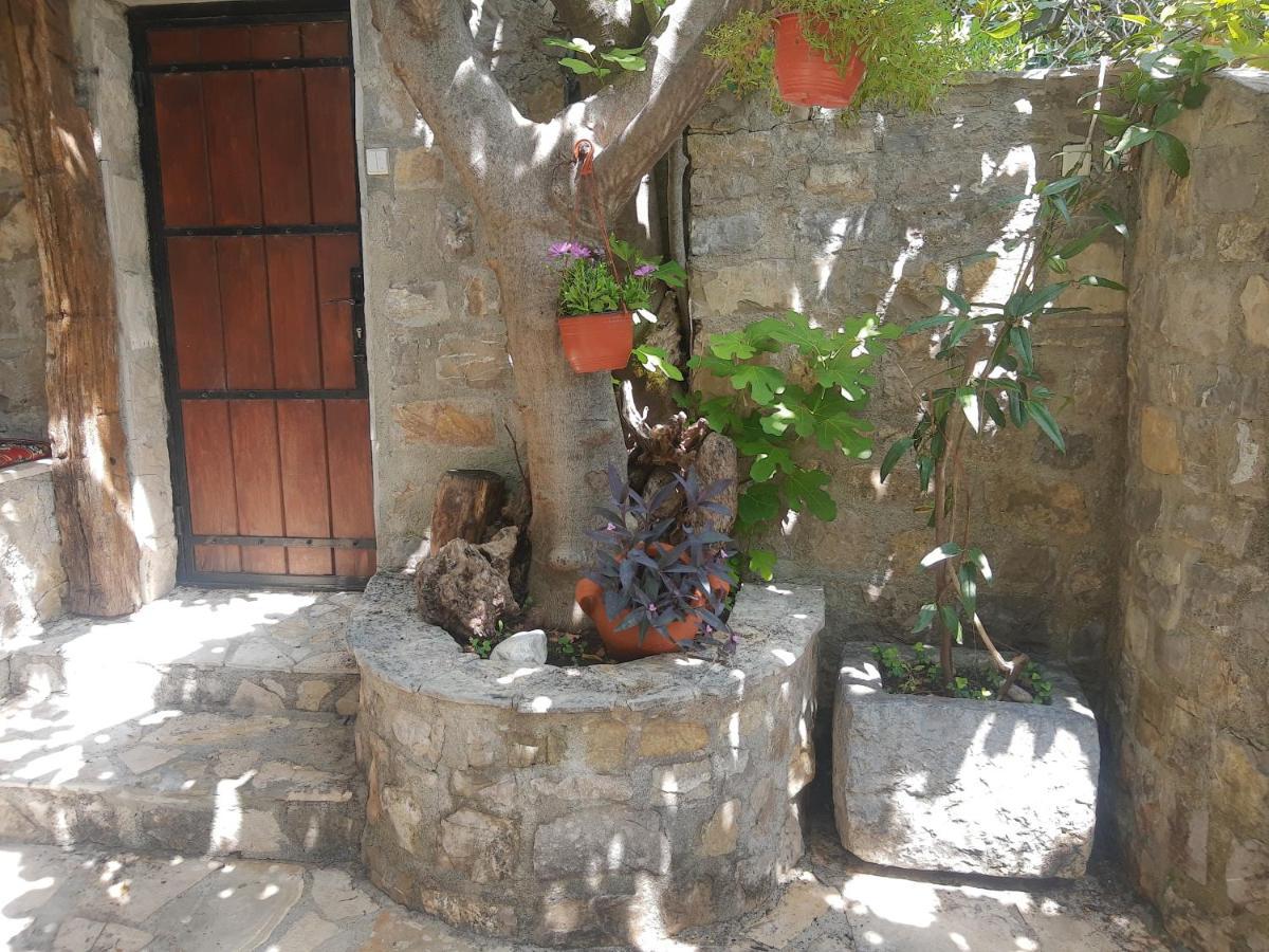 Sea-Side Old Stone Villa With A Private Garden Budva Exterior foto