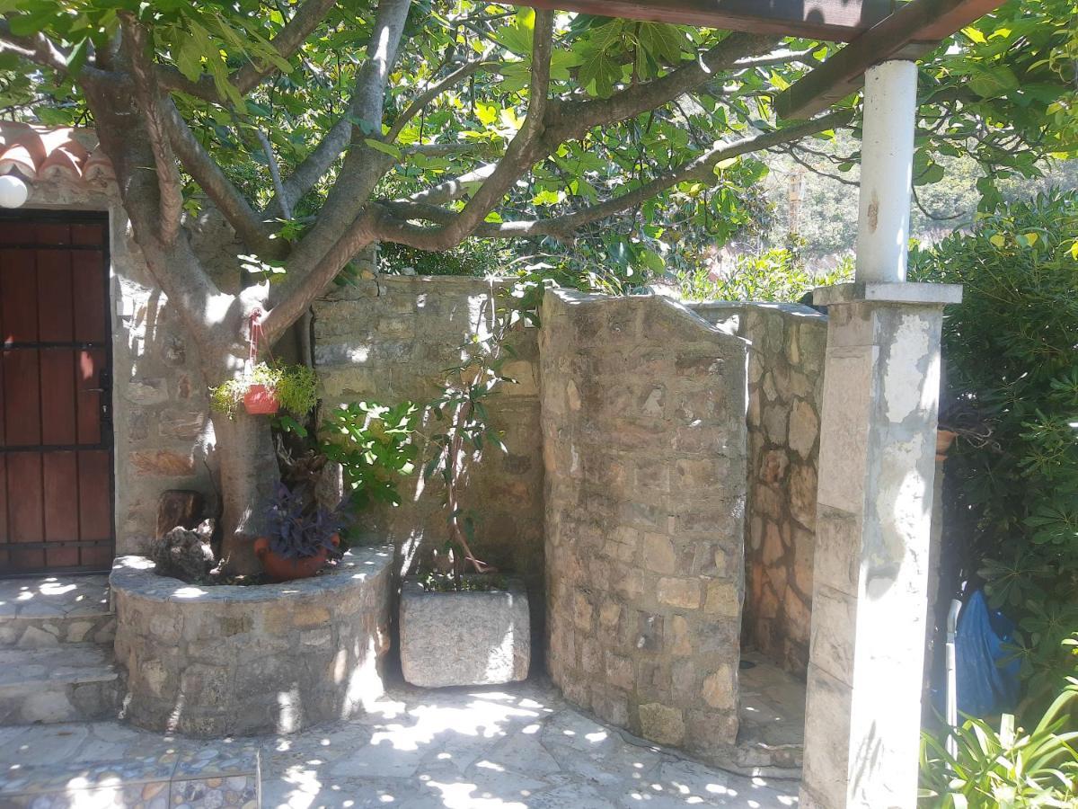 Sea-Side Old Stone Villa With A Private Garden Budva Exterior foto